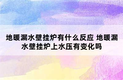 地暖漏水壁挂炉有什么反应 地暖漏水壁挂炉上水压有变化吗